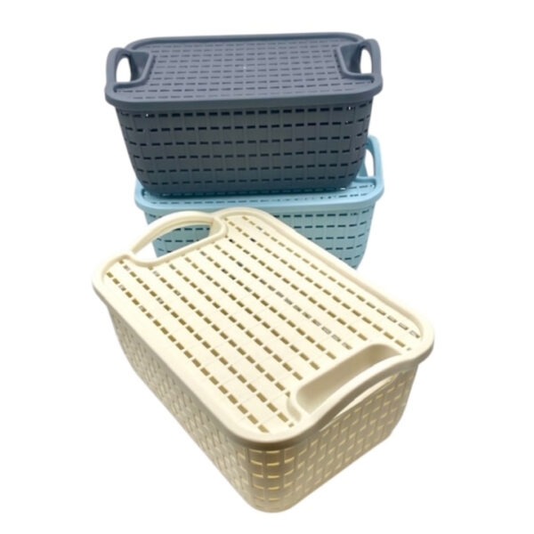 CAJA ORGANIZADORA PLASTICA TRAMADA 30x21x12 CM - (ECT-161072)